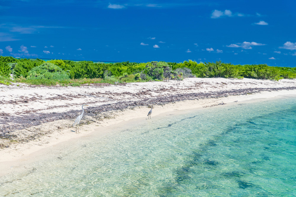 Garden Key's Pristine Waters Photography Art | kramkranphoto