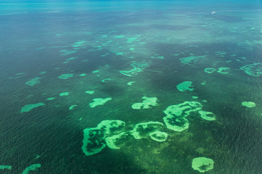The Waters Of The Florida Keys Photography Art | kramkranphoto