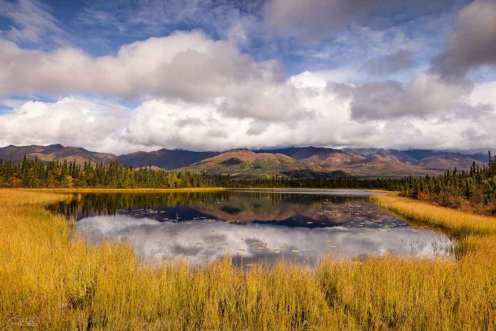 Kettle pond in Wrangell-St. Elias National Park.