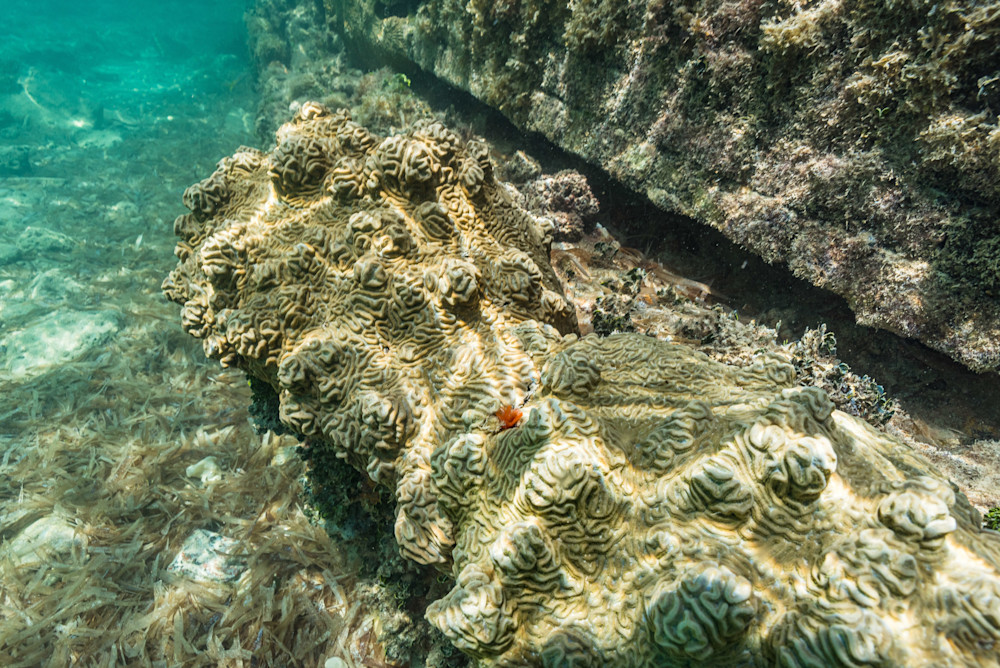 Underwater Photography Art | kramkranphoto