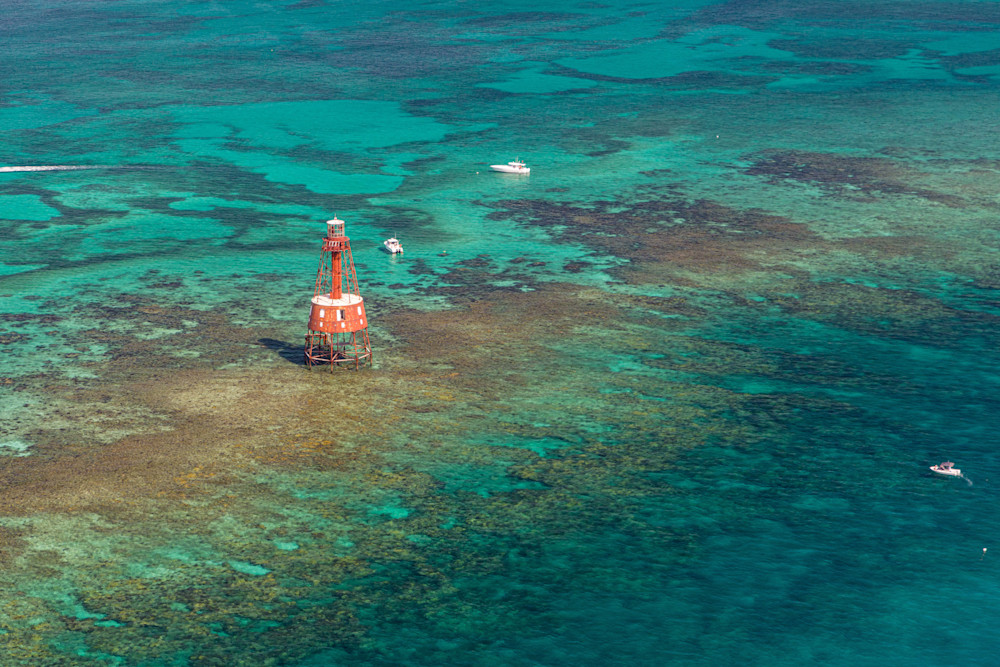 *Underwater Coral Gardens Of Carysfort Photography Art | kramkranphoto