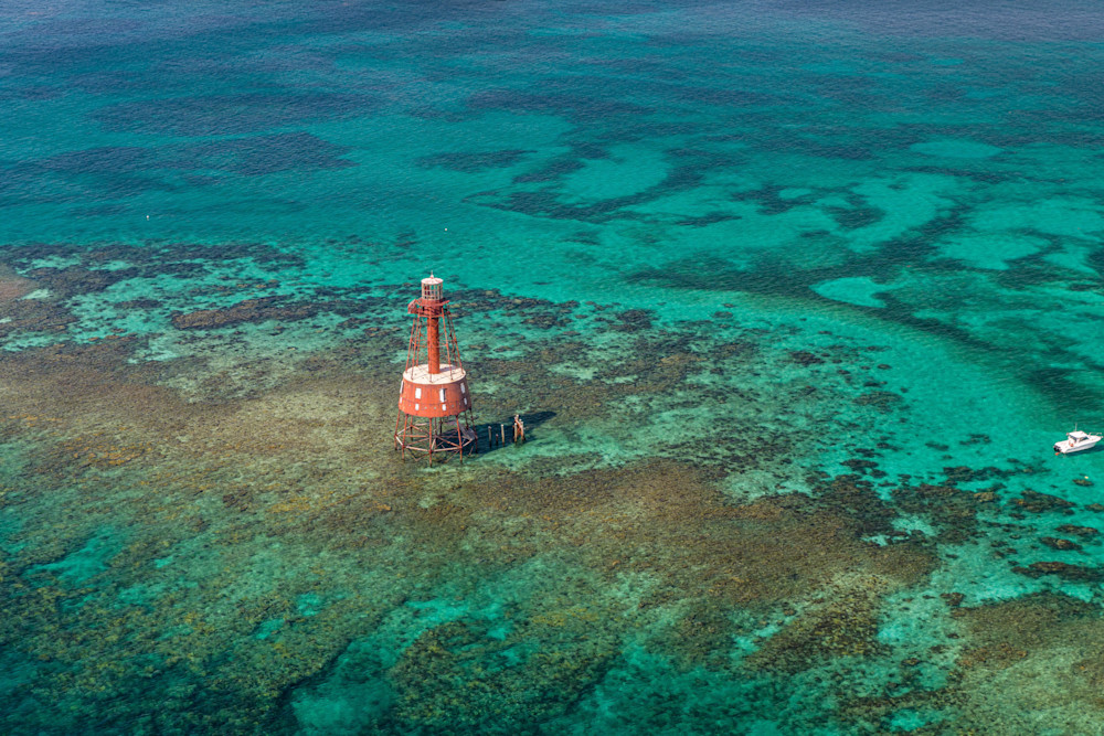 Marine Life Interaction Carysfort Reef Photography Art | kramkranphoto