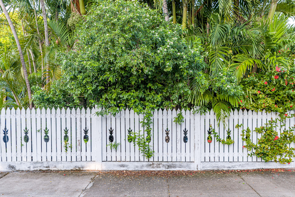 Classic Element Often Seen In Key West Photography Art | kramkranphoto