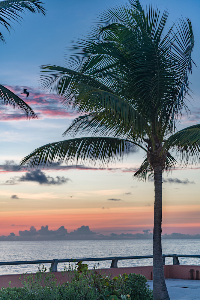 Picture A Secluded Beachfront In Key West Photography Art | kramkranphoto