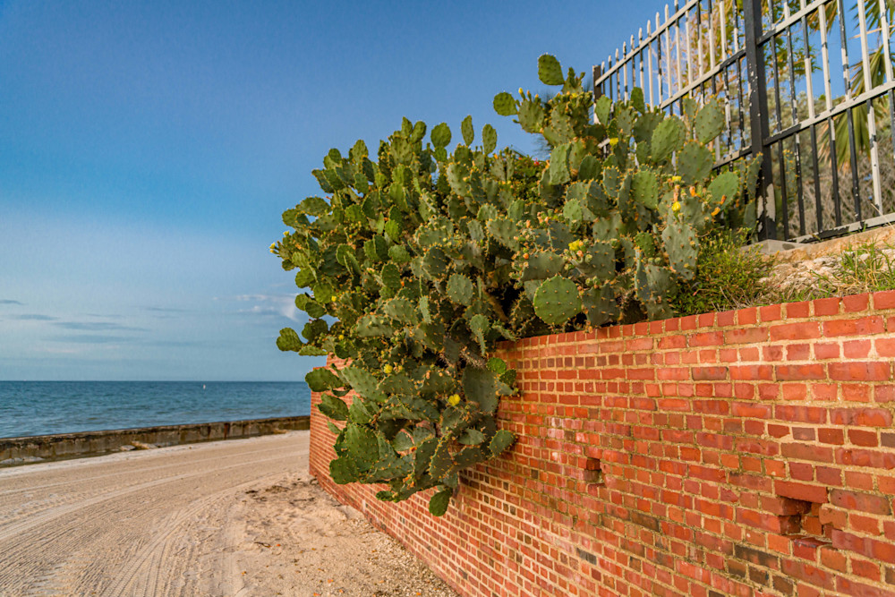 The West Martello Tower Photography Art | kramkranphoto