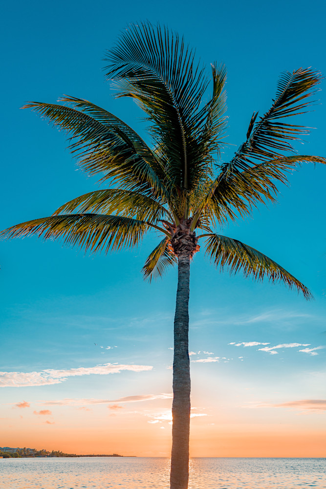 Secluded Beachfront Photography Art | kramkranphoto