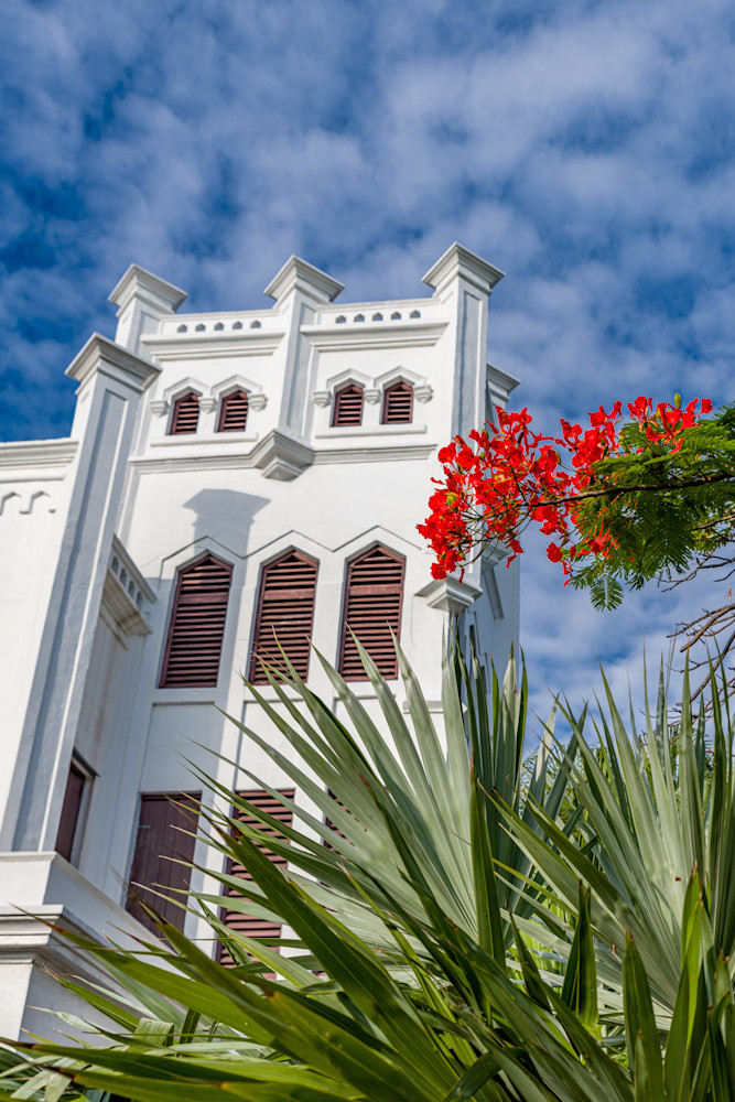 St. Paul's Episcopal Church, Embraced By The Enchanting Poinciana Tree Photography Art | kramkranphoto