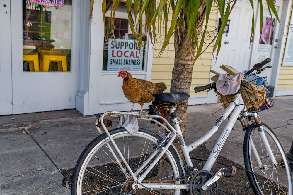 Key West Bike Day Photography Art | kramkranphoto