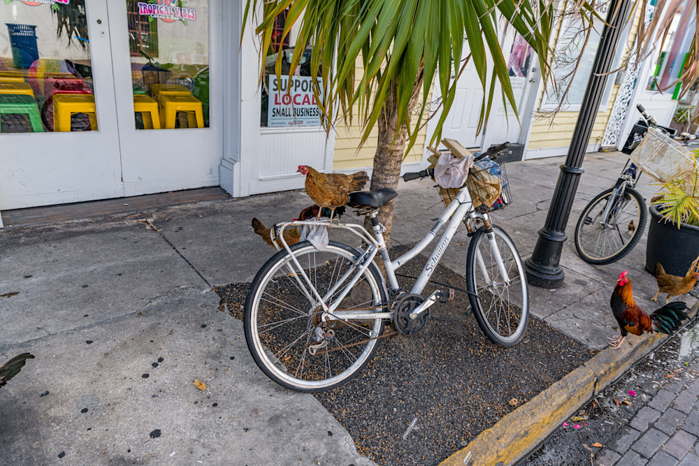 Key West Trip Bike Photography Art | kramkranphoto