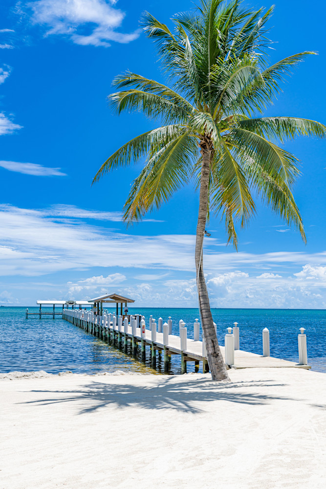 Paradise Photography Art | kramkranphoto