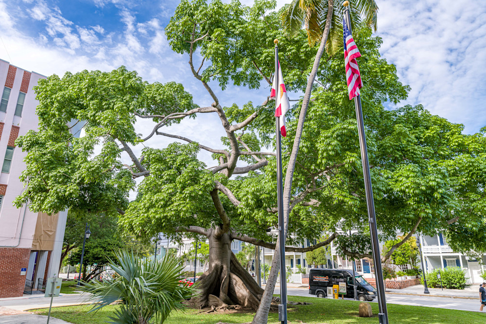 Florida Keys Scenes Photography Art | kramkranphoto