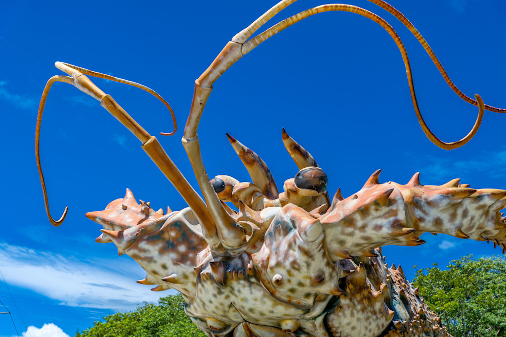 Betsy The Lobster Photography Art | kramkranphoto
