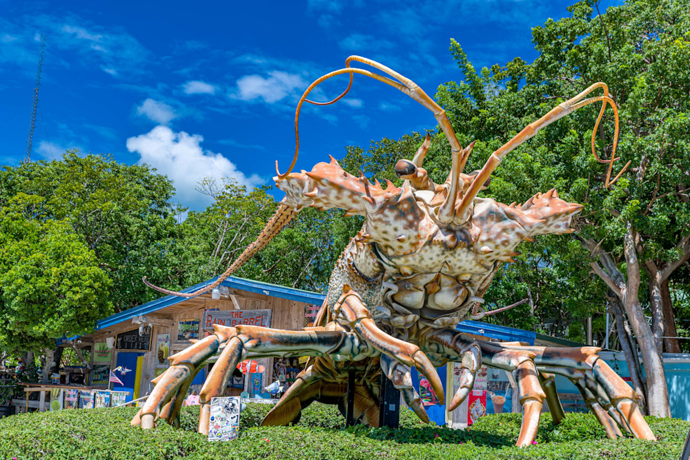 Betsy The Lobster Photography Art | kramkranphoto