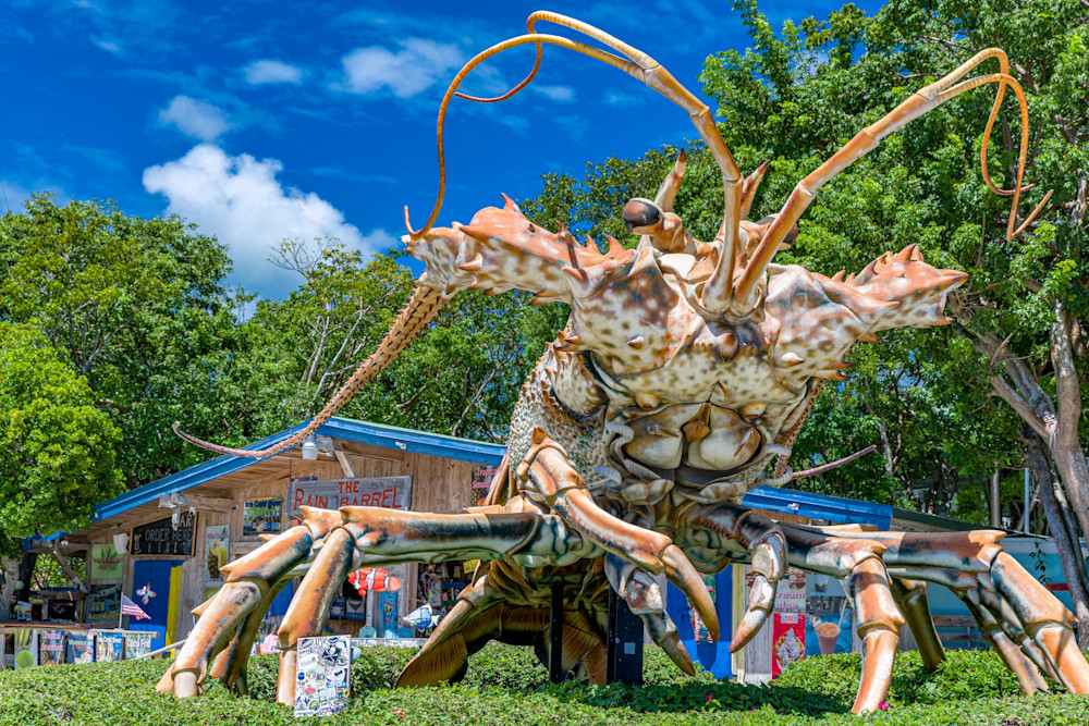 Betsy The Lobster Photography Art | kramkranphoto