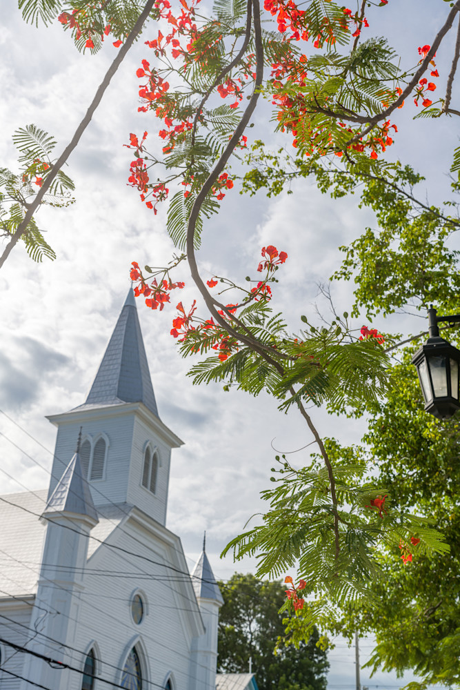 Florida Keys With A Vibrant Display Of Royal Poinciana Photography Art | kramkranphoto