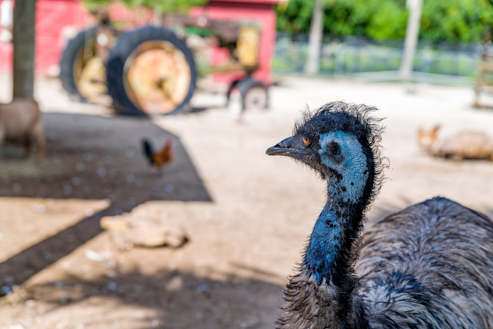Farming Photography Art | kramkranphoto