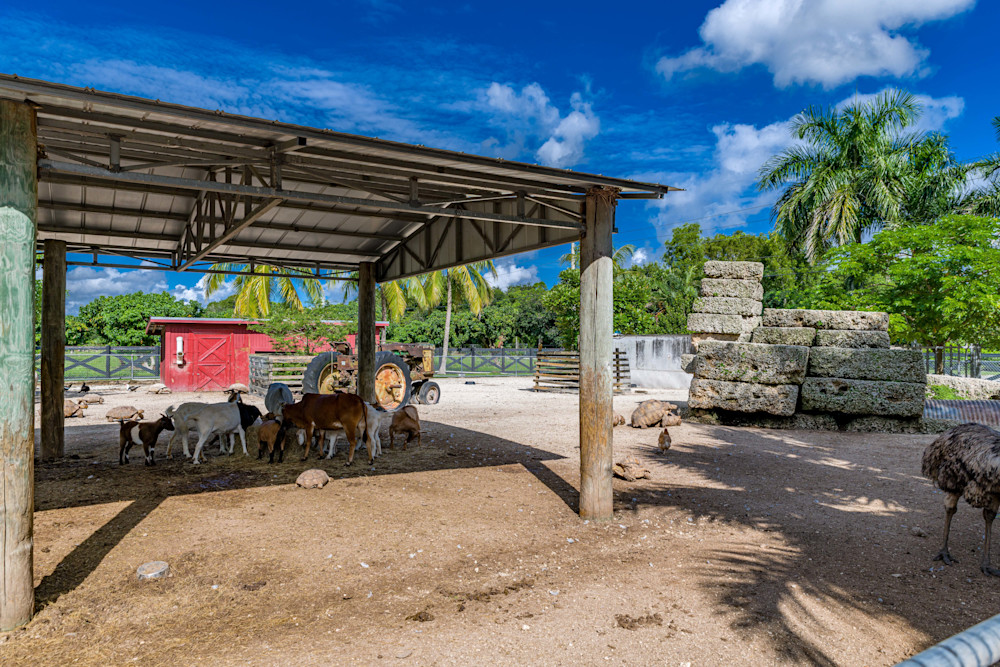 Farm Stand Photography Art | kramkranphoto