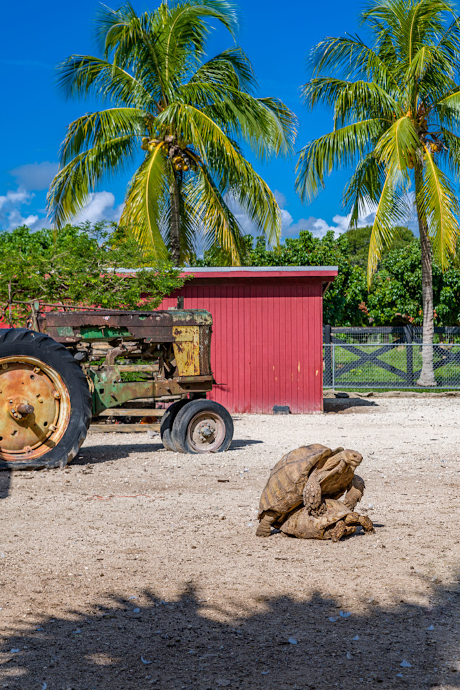 South Florida Life Photography Art | kramkranphoto