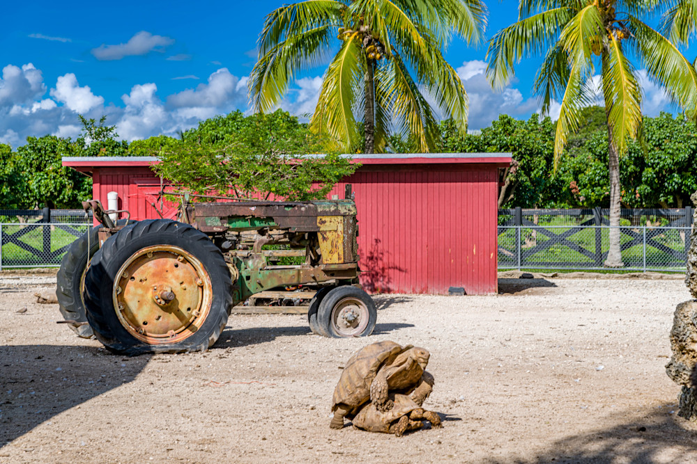 South Florida Life Photography Art | kramkranphoto