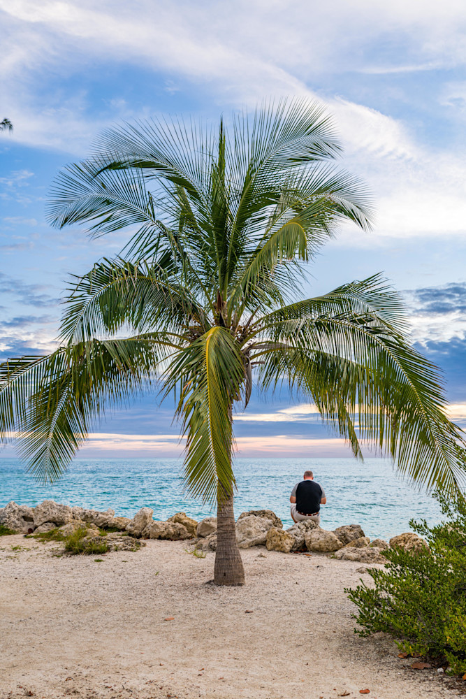 The Palm's Fronds, Like Verdant Plumes, Photography Art | kramkranphoto