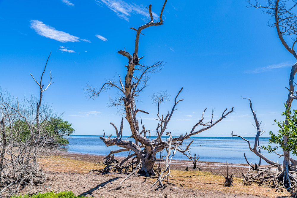 Big Pine Key Photography Art | kramkranphoto