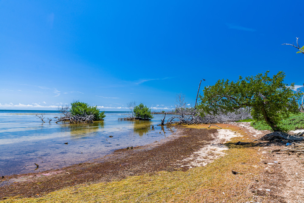 Secluded Florida Key Photography Art | kramkranphoto