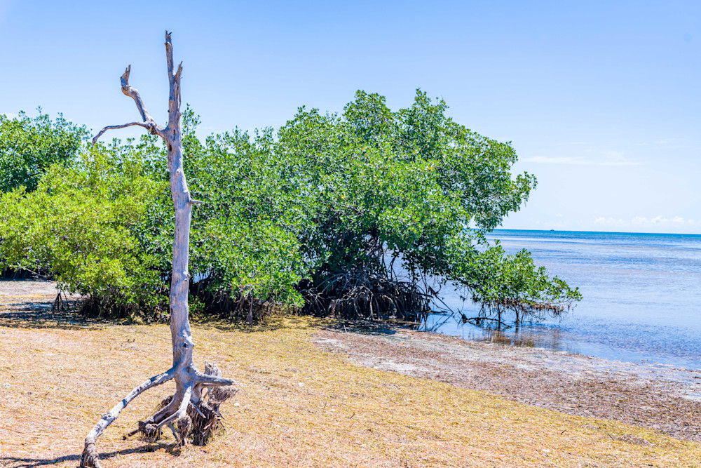 Nature Key Photography Art | kramkranphoto