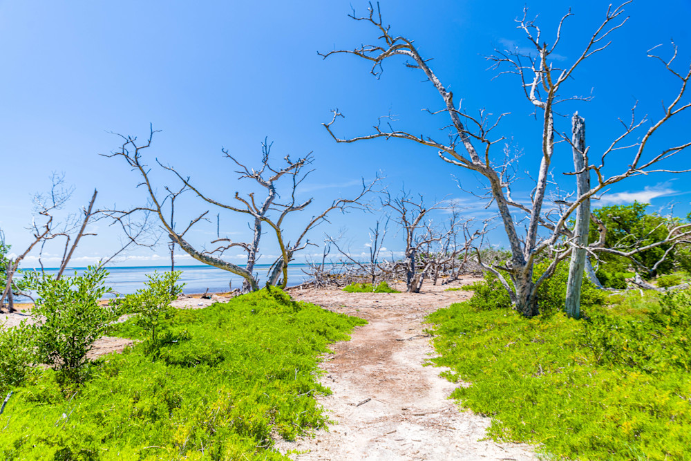 Secluded Shoreline:* Photography Art | kramkranphoto