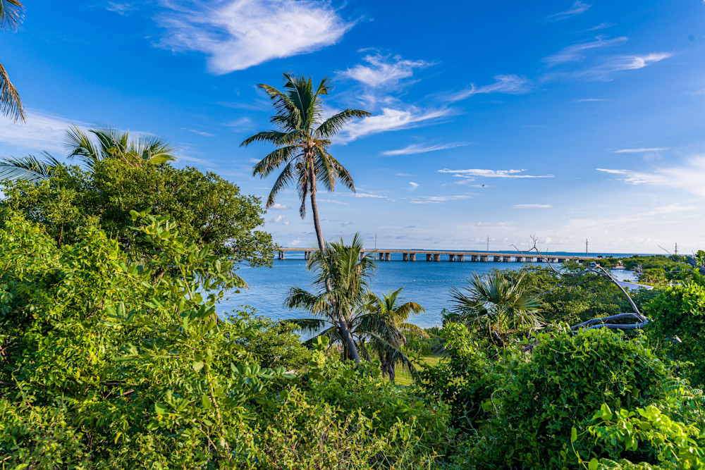 Natural Bahia Photography Art | kramkranphoto