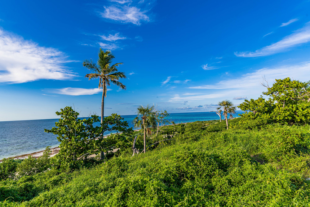 Bahia Photography Art | kramkranphoto