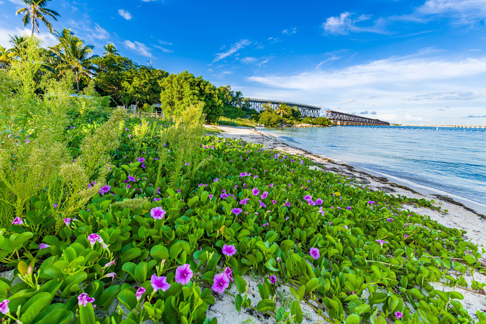 Coastal Tableau. Photography Art | kramkranphoto