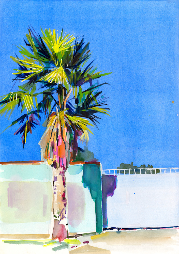single palm tree and split shadow on fence