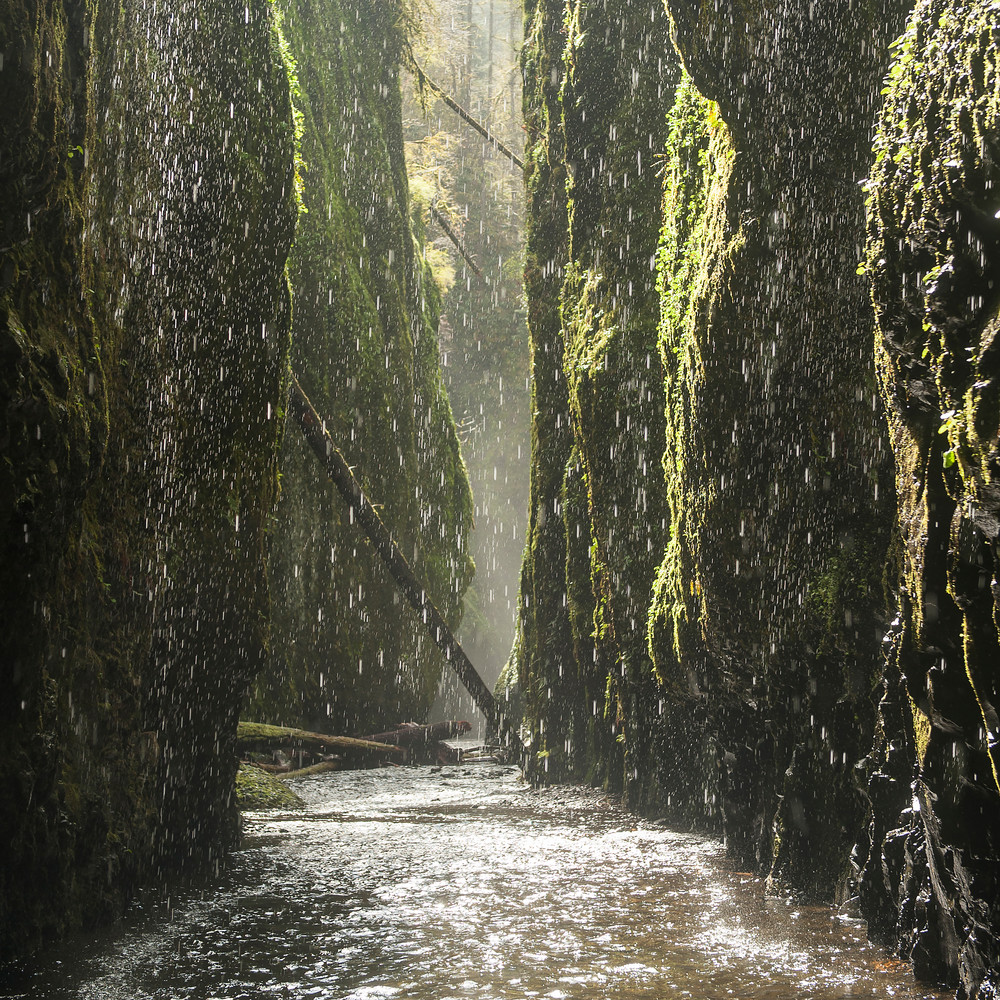 Weeping Walls