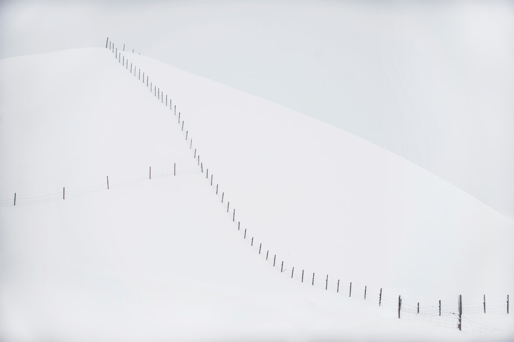 Fence and Field