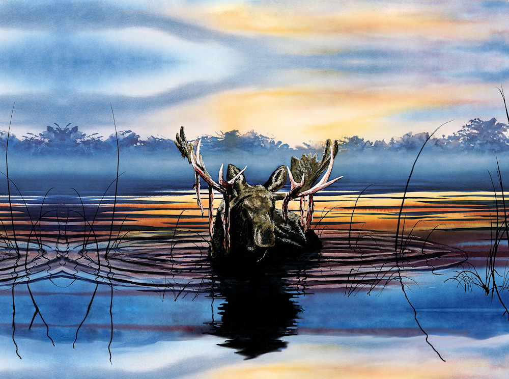 Lake Snoozin' Moose Art | originalz