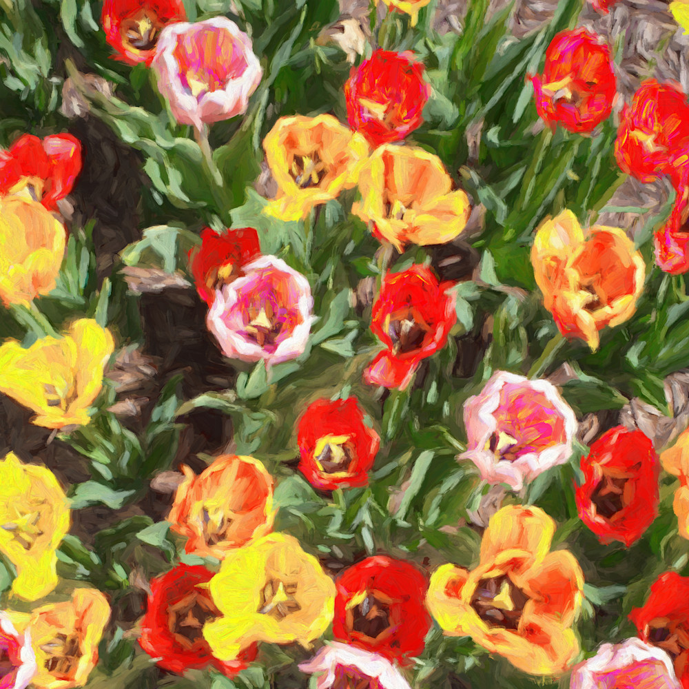 4 Square Tulips Art | Light Pixie Studio