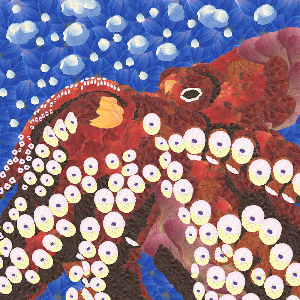 Octopus Art | smacartist