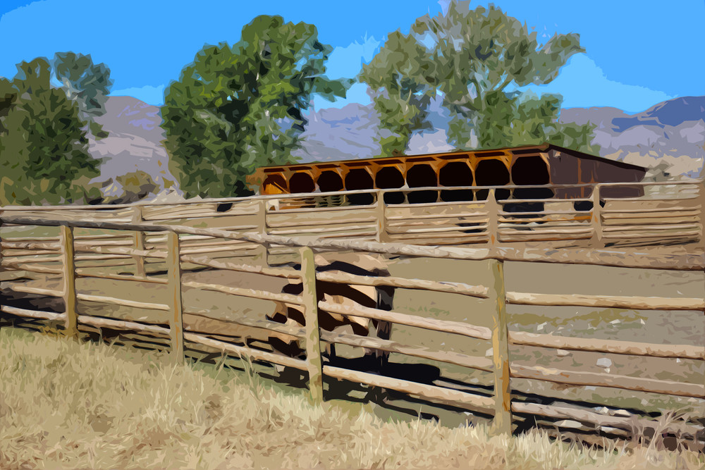 Ranch Corrals Art | IN the Moment Creative