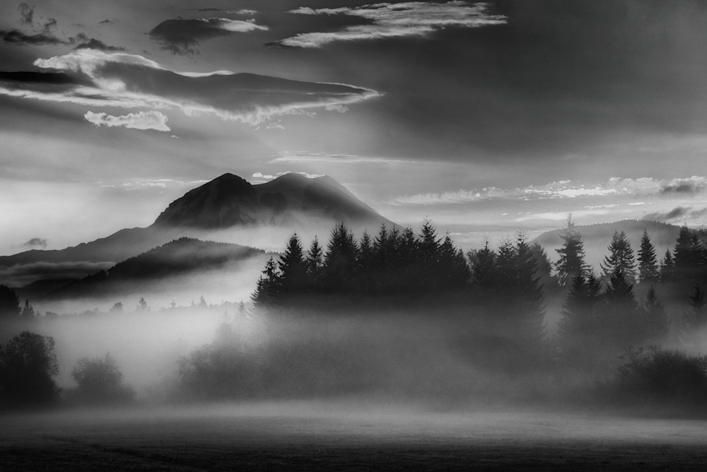 Mount Rainier: Misty Sunrise Photography Art | Troy Mason Photography