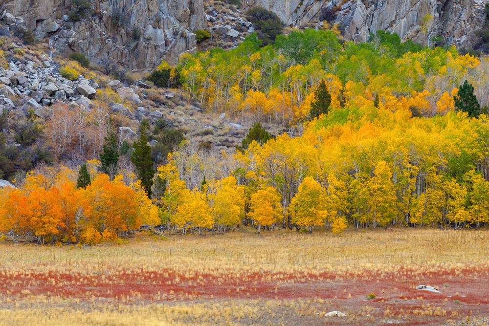 The Sense Of Uncontrollable Imbalance Photography Art | Joshua Smith Photo