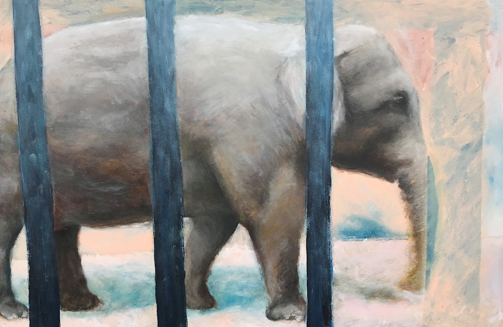 Elephant: Amsterdam Zoo #2, 2020 Art | Jonathan Mann ART