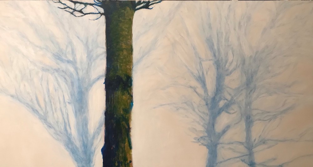 White Fir: The World In A Tree, 2020 Art | Jonathan Mann ART