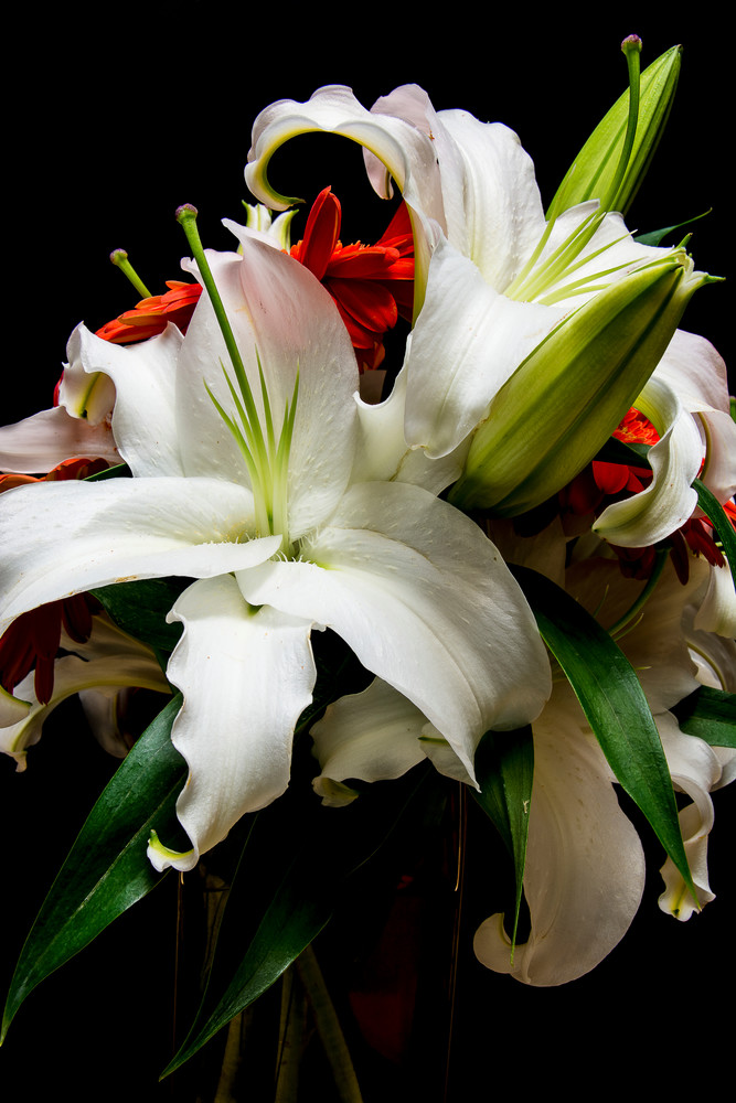 Lily Bouquet Photography Art | Kendall Photography & Fine Art