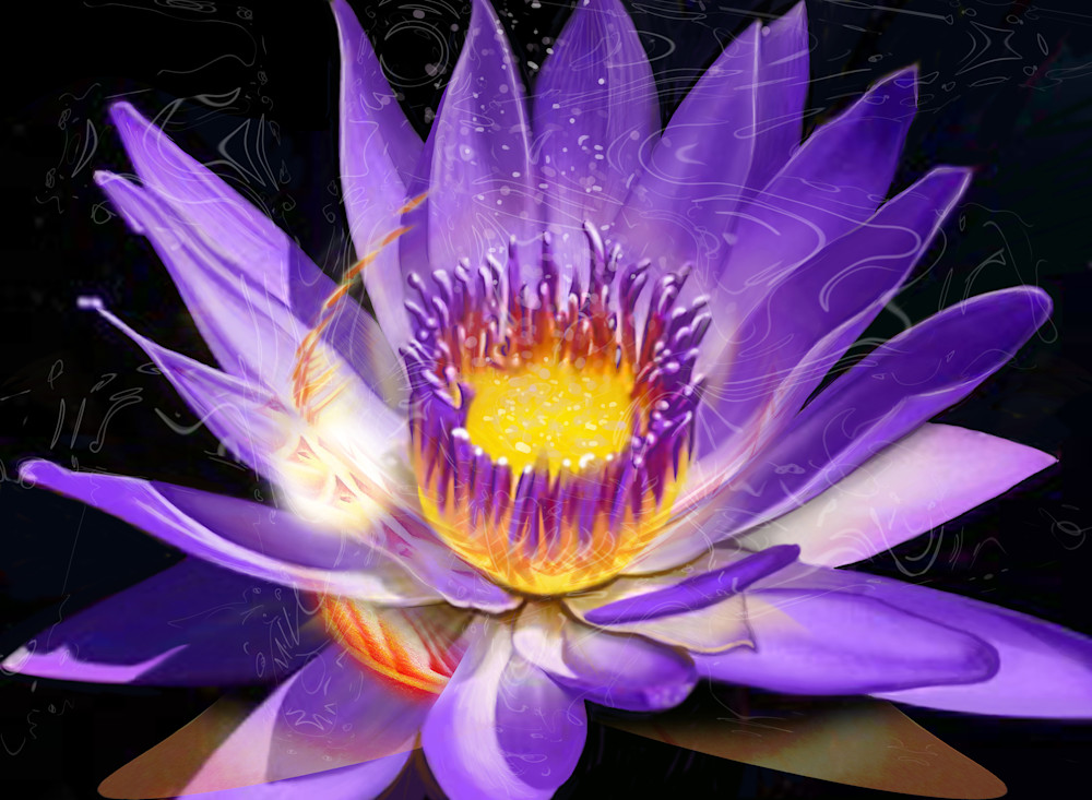 Ascension Art | stevied