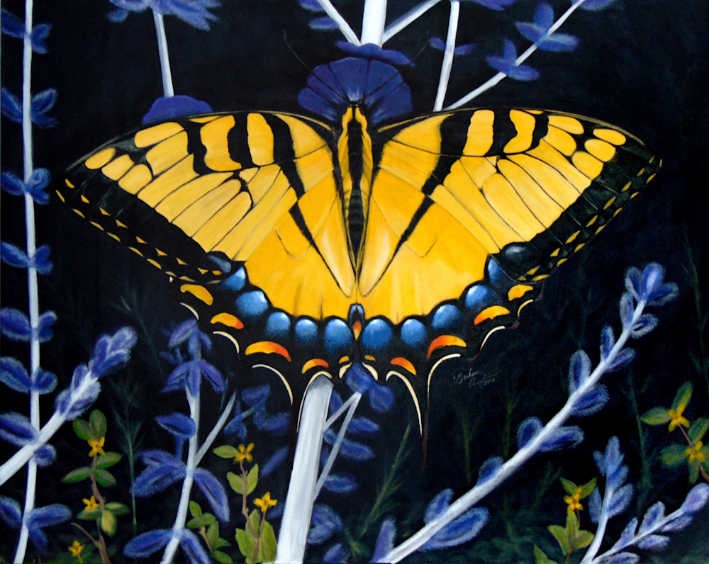 Swallowtail Butterfly Art | IMDArtist Barbara Andrews