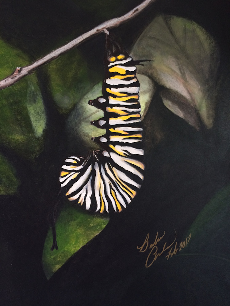 Caterpillar  Art | IMDArtist Barbara Andrews