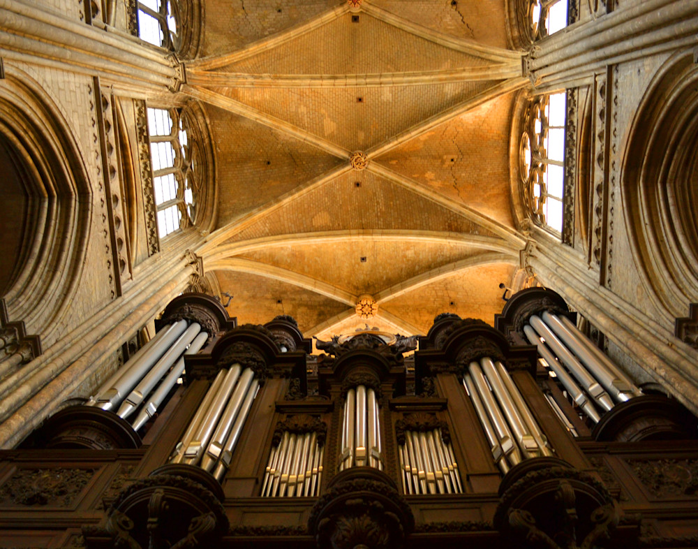 Notre Dame Cathedral Ceiling View Photography Art | Photo Folk