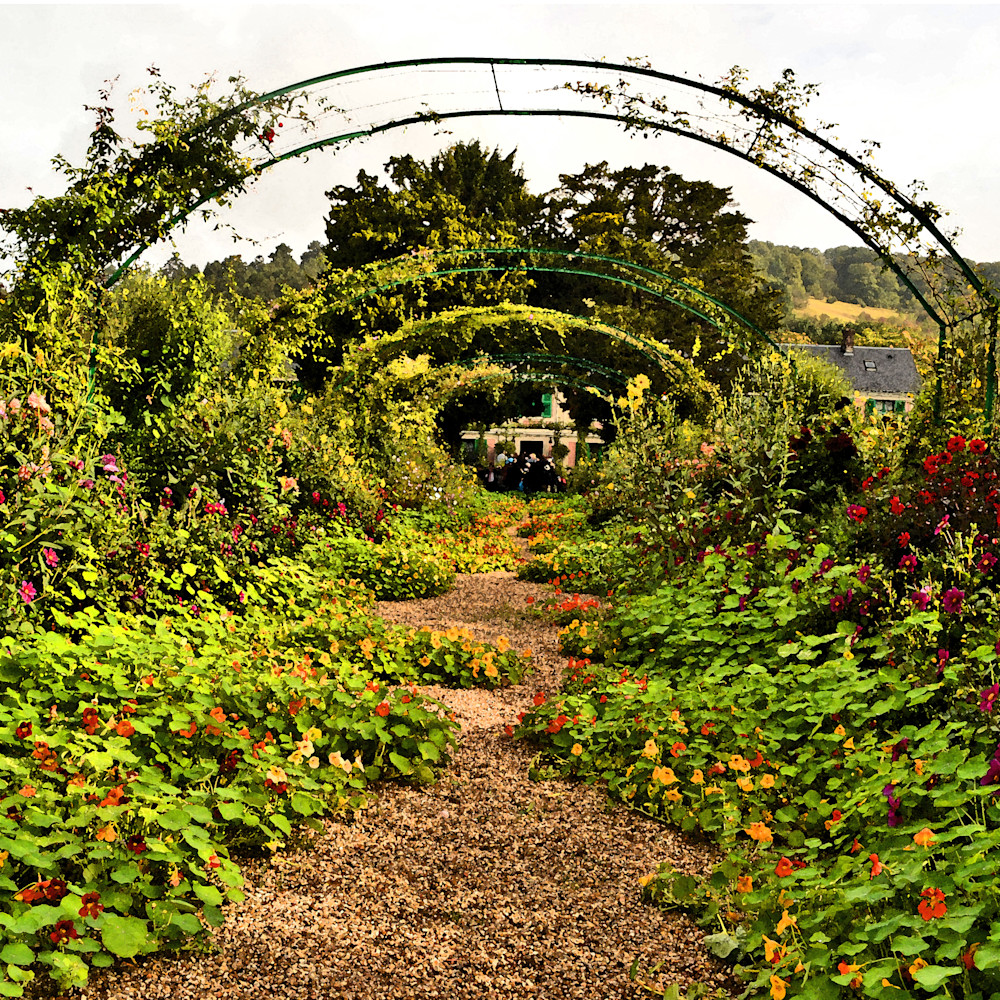 Nasturtiums In Monet's Gardens Photography Art | Photo Folk