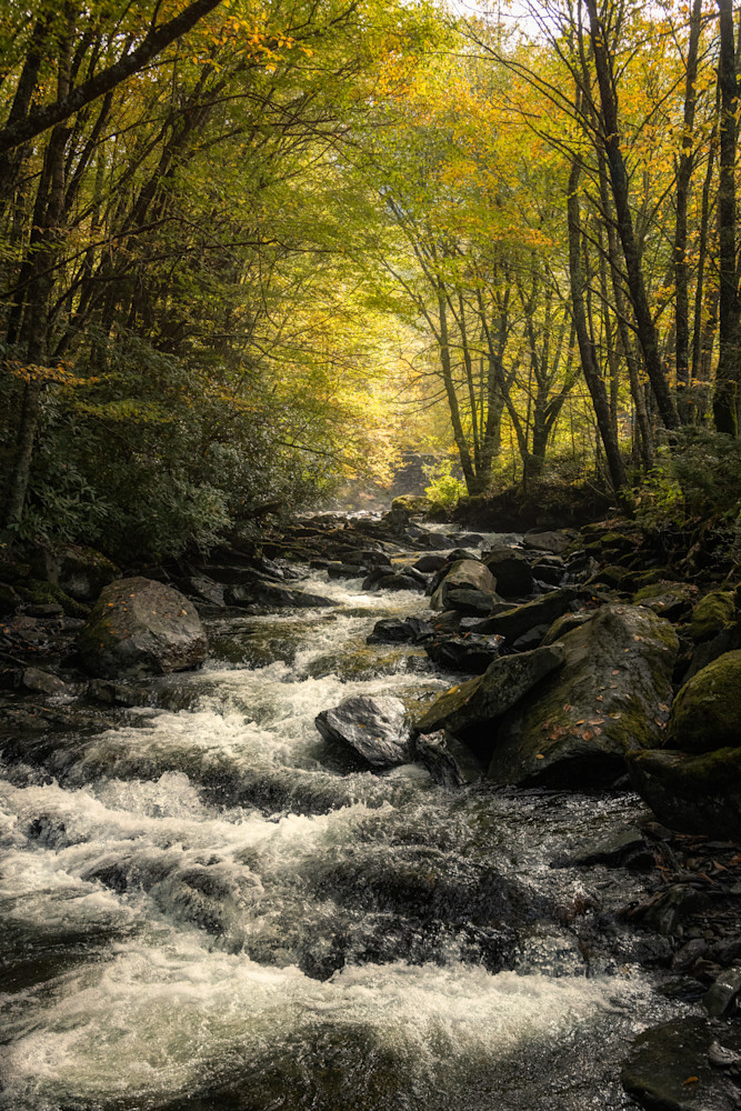 An Autumn Stream In The Smoky Mountains