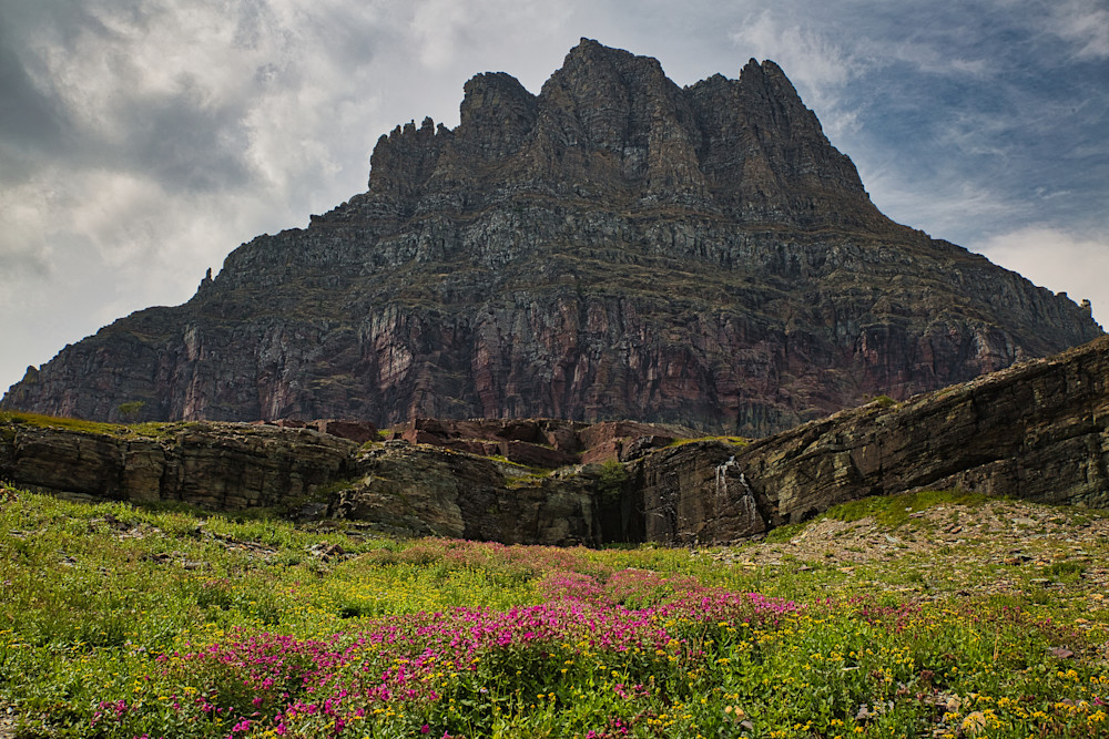 Clements Mountain and flowers, Glacier National Park, Montana
